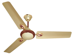 Fan PNG-14479